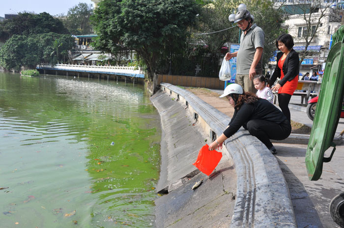Nhiều người đã thả cá để tiễn Ông Táo lên trời.Nhiều người đã thả cá để tiễn Ông Táo lên trời. Nhiều người đã thả cá để tiễn Ông Táo lên trời.Nhiều người đã thả cá để tiễn Ông Táo lên trời.