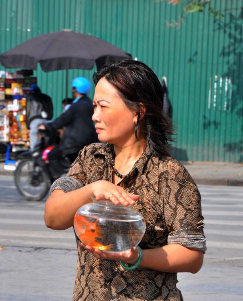 Nâng niu bình cá chép trước lúc thả xuống hồ Nâng niu bình cá chép trước lúc thả xuống hồ