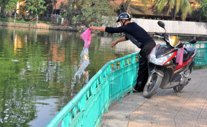 Ven theo Hồ Tây, tại các bến việc thả cá cũng diễn ra khá đông đúc Ven theo Hồ Tây, tại các bến việc thả cá cũng diễn ra khá đông đúc
