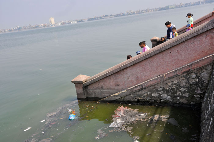 Cá thì gặp được nước còn nước lại kín đặc rác. Cá thì gặp được nước còn nước lại kín đặc rác.
