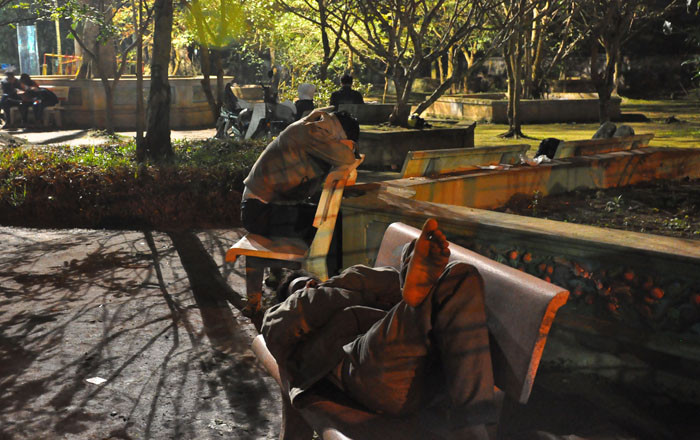 Những ghế đá ngoài vườn hoa của khu di tích cũng chật kín người Những ghế đá ngoài vườn hoa của khu di tích cũng chật kín người