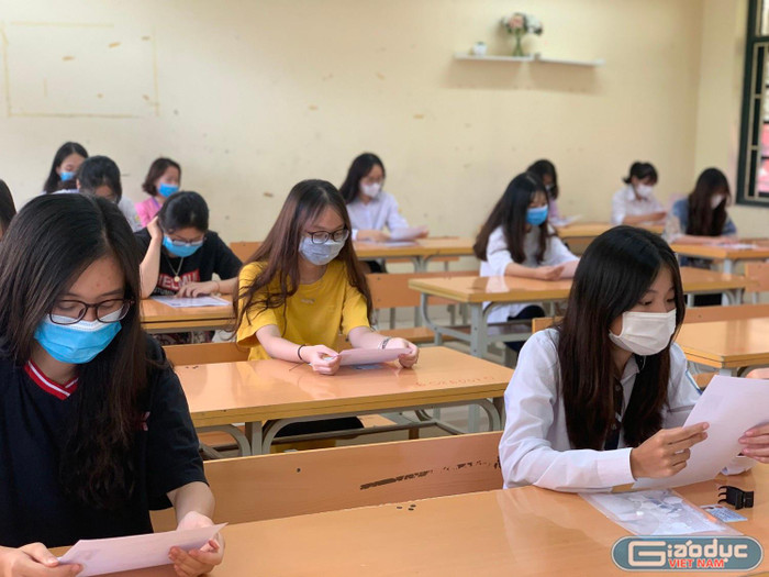 Ảnh minh họa: Thùy Linh Ảnh minh họa: Thùy Linh