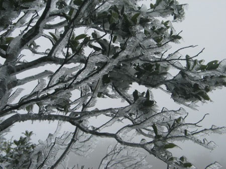 Trong những ngày đầu năm mới Tết Nhâm Thìn vừa qua, tại Bắc Sơn (Lạng Sơn) đã liên tiếp xuất hiện hiện tượng nước đóng băng do nhiệt độ có lúc ở mức âm. (Ảnh minh họa)