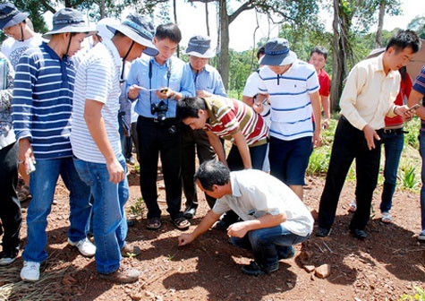 Bầu Đức trực tiếp đi và hướng dẫn các nhà đầu tư trong và ngoài nước thăm thực tế mỏ sắt tại Campuchia Bầu Đức trực tiếp đi và hướng dẫn các nhà đầu tư trong và ngoài nước thăm thực tế mỏ sắt tại Campuchia