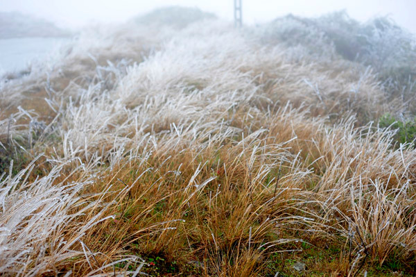 Nhiệt độ xuống thấp đã tạo ra hiện tượng băng giá tại đỉnh Mẫu Sơn (Lạng Sơn) trong đêm mùng 4, ngày mùng 5/1/2012. Nhiệt độ xuống thấp đã tạo ra hiện tượng băng giá tại đỉnh Mẫu Sơn (Lạng Sơn) trong đêm mùng 4, ngày mùng 5/1/2012.