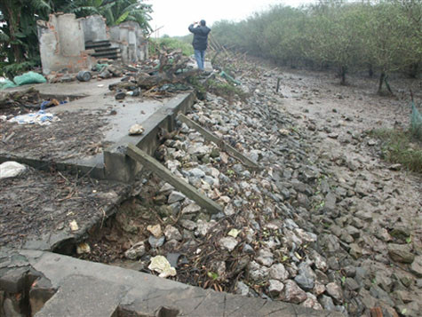 Để giữ đầm trước gần chục cơn bão đổ bộ hàng năm, ông Vươn đầu tư đổ rất nhiều đá kè thành đê trước biển. Việc này không chỉ giúp giữ đầm mà còn góp phần bảo vệ được cả khu dân làng phía trong. Để giữ đầm trước gần chục cơn bão đổ bộ hàng năm, ông Vươn đầu tư đổ rất nhiều đá kè thành đê trước biển. Việc này không chỉ giúp giữ đầm mà còn góp phần bảo vệ được cả khu dân làng phía trong.