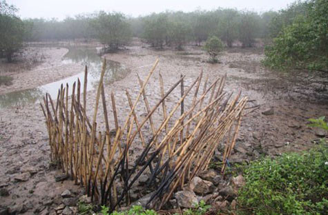 Toàn bộ khu đầm bị tháo nước, các loại thủy sản, chuối... trị giá hàng tỷ đồng trong khu đầm nhà ông Vươn bị vét sạch. Toàn bộ khu đầm bị tháo nước, các loại thủy sản, chuối... trị giá hàng tỷ đồng trong khu đầm nhà ông Vươn bị vét sạch.