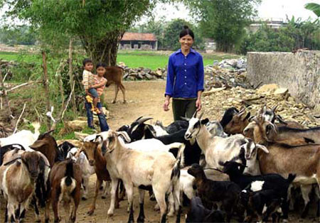 Dê núi cũng thường được cung tiến tới vua. Dê núi cũng thường được cung tiến tới vua.