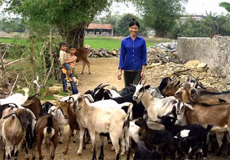 Dê núi cũng thường được cung tiến tới vua.