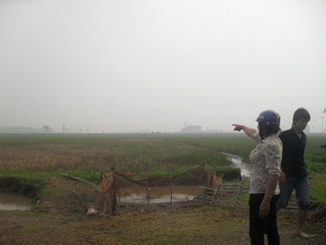 Hơn 5000m2 đất canh tác của gia đình ông Ngọc chỉ được đền bù 2,2 triệu đồng. (ảnh: Dothi.net) Hơn 5000m2 đất canh tác của gia đình ông Ngọc chỉ được đền bù 2,2 triệu đồng. (ảnh: Dothi.net)