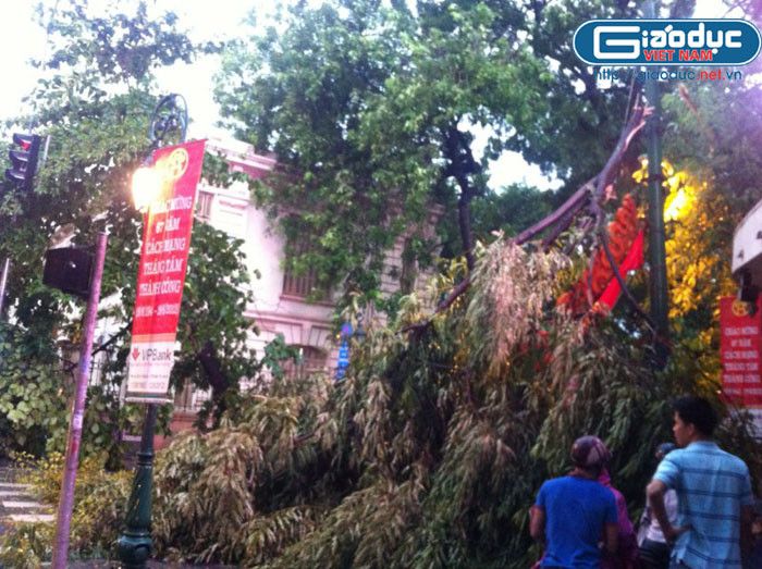 Người dân hiếu kỳ ra xem Người dân hiếu kỳ ra xem