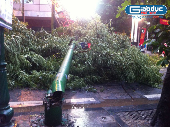 Không chỉ cây xanh, nhiều cột đèn cũng gãy sập do sức gió quá lớn. Không chỉ cây xanh, nhiều cột đèn cũng gãy sập do sức gió quá lớn.
