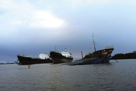 Chiều 10.2, trên sông Đồng Nai (đoạn giáp ranh xã Phú Hữu, H.Nhơn Trạch, tỉnh Đồng Nai và xã Phú Xuân, H.Nhà Bè, TP.HCM) đã xảy ra vụ tai nạn giao thông đường thủy nghiêm trọng giữa 3 tàu thủy, làm 12 người bị chìm dưới nước, 8.000 lít dầu tràn ra sông Đồng Nai. Chiều 10.2, trên sông Đồng Nai (đoạn giáp ranh xã Phú Hữu, H.Nhơn Trạch, tỉnh Đồng Nai và xã Phú Xuân, H.Nhà Bè, TP.HCM) đã xảy ra vụ tai nạn giao thông đường thủy nghiêm trọng giữa 3 tàu thủy, làm 12 người bị chìm dưới nước, 8.000 lít dầu tràn ra sông Đồng Nai.