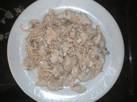 Con Phi, một đặc sản tiến vua của xứ Thanh. Con Phi, một đặc sản tiến vua của xứ Thanh.