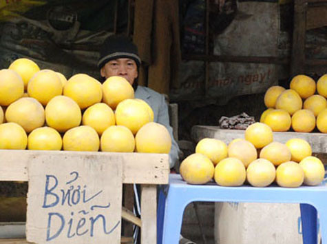 Bưởi diễn là một thứ sản vật quí của mảnh đất Hà thành dùng để dâng lên vua trước đây.