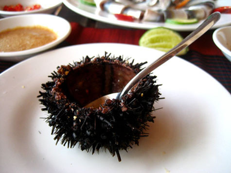 Vào thời vua chúa, người làng Phổ Châu - Đức Phổ (Quảng Ngãi) có tục hàng năm mang mắm nhum, là sản vật quý dâng lên cho vua.