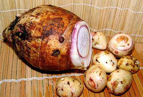 Khoai môn từng là một sản vật quí chỉ để dâng lên vua chúa