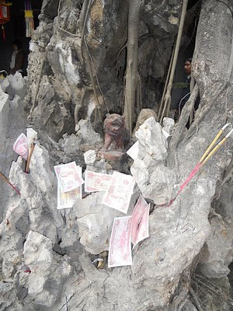 Trên những hòn non bộ cũng xuất hiện không ít tiền lẻ.