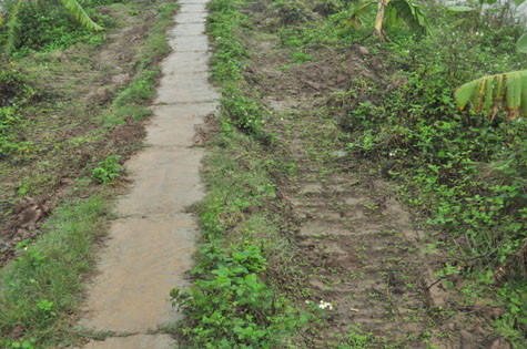 Con đường dẫn vào khu vực đầm nhà ông Vươn.