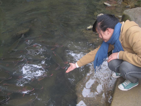 Chỉ cần giơ tay ra là có thể "dụ" những chú cá vào bờ. Chỉ cần giơ tay ra là có thể "dụ" những chú cá vào bờ.