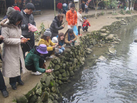 Ai cũng muốn chụp những kiểu ảnh những chú cá "thần" này về làm kỷ niệm. Ai cũng muốn chụp những kiểu ảnh những chú cá "thần" này về làm kỷ niệm.