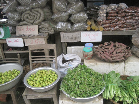 Không chỉ được chiêm ngưỡng các suối cá, du khách còn có thể mua những sản vật dân dã của địa phương được người dân bày bán. Không chỉ được chiêm ngưỡng các suối cá, du khách còn có thể mua những sản vật dân dã của địa phương được người dân bày bán.