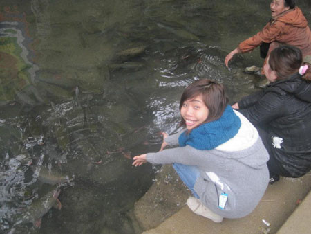 Vui thích trước suối cá "thần". Vui thích trước suối cá "thần".