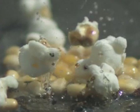 >>>Video quay chậm hàng trăm lần cảnh nổ bỏng ngô đẹp mắt. Mời bạn đọc theo dõi clip tại đây. >>>Video quay chậm hàng trăm lần cảnh nổ bỏng ngô đẹp mắt. Mời bạn đọc theo dõi clip tại đây.