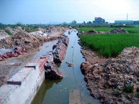 Trưa 31/8/2011, tại kênh tưới tiêu sau Chùa Ao, Đông Đạo, thôn Đông Sơn, thị trấn Lim - Tiên Du đã xảy ra vụ tai nạn thương tâm làm 3 nữ phụ hồ thiệt mạng. Vụ tai nạn xảy ra khi đoạn tường kênh có chiều dài khoảng 56 mét, chiều cao 1,6 mét phía giáp đường tỉnh lộ 295B bất ngờ đổ sập. Trưa 31/8/2011, tại kênh tưới tiêu sau Chùa Ao, Đông Đạo, thôn Đông Sơn, thị trấn Lim - Tiên Du đã xảy ra vụ tai nạn thương tâm làm 3 nữ phụ hồ thiệt mạng. Vụ tai nạn xảy ra khi đoạn tường kênh có chiều dài khoảng 56 mét, chiều cao 1,6 mét phía giáp đường tỉnh lộ 295B bất ngờ đổ sập.