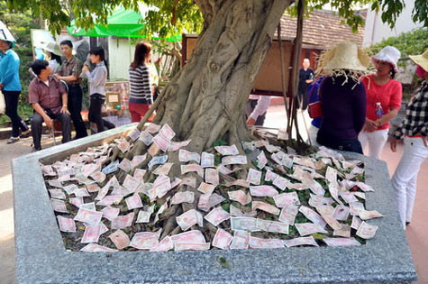Gốc cây trong chùa cũng ngập tiền lẻ Gốc cây trong chùa cũng ngập tiền lẻ
