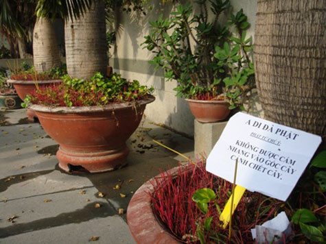 Nhang được cắm tứ tung ngay trước biển cấm. Nhang được cắm tứ tung ngay trước biển cấm.