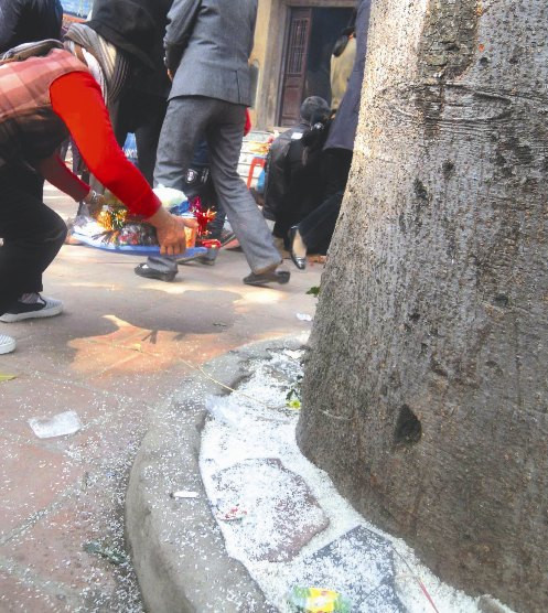 Không ít người thiếu ý thức rắc đầy muối, gạo ở phần gốc cây trong khuôn viên đền Bắc Lệ. Không ít người thiếu ý thức rắc đầy muối, gạo ở phần gốc cây trong khuôn viên đền Bắc Lệ.