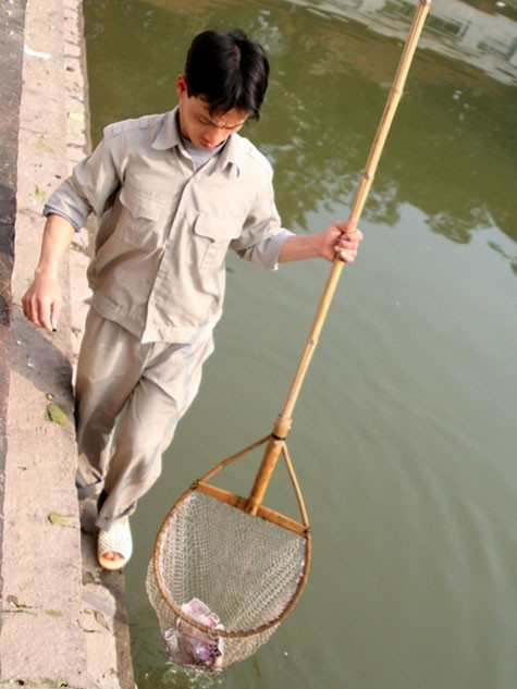 Vớt tiền lẻ do nhiều người thiếu ý thức thả xuống hồ trong khuôn viên Văn miếu Quốc tử giám. Vớt tiền lẻ do nhiều người thiếu ý thức thả xuống hồ trong khuôn viên Văn miếu Quốc tử giám.