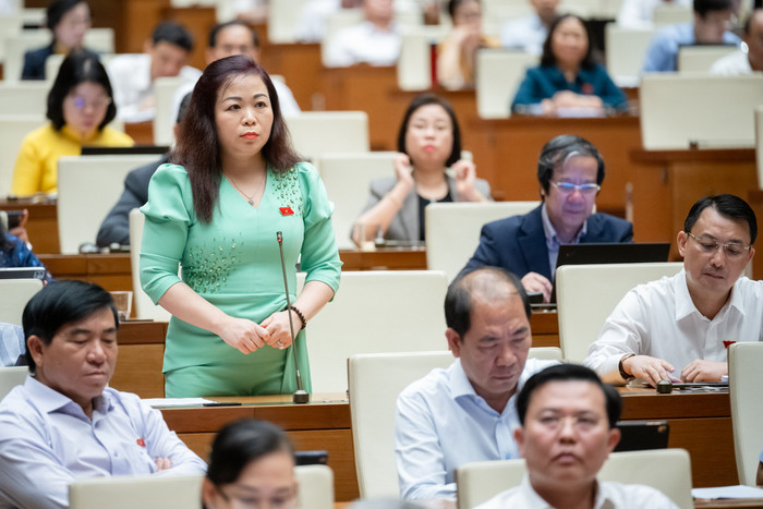 Đại biểu Vũ Thị Lưu Mai - Đoàn đại biểu Quốc hội thành phố Hà Nội. Ảnh: quochoi.vn. lưu mai.jpg