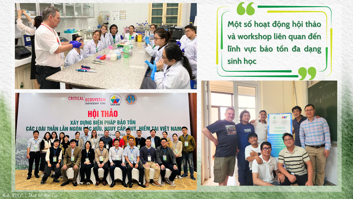 GDVN_hội thảo.png