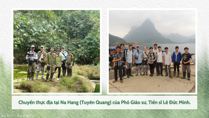 GDVN_thực địa.png