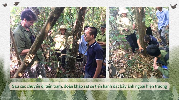 GDVN_đặt bẫy ảnh.png