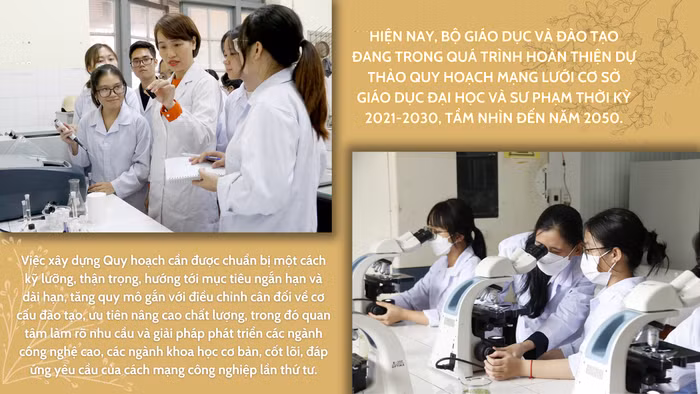 GDVN_ảnh.png