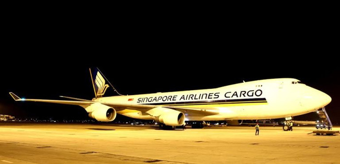 Vinamilk thuê phi cơ đặc chủng vận chuyển bò sữa nhập khẩu từ Úc về Việt Nam.