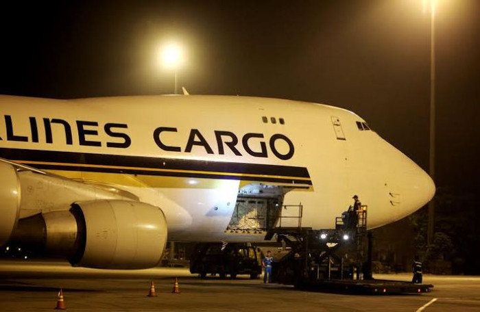 Để đảm bảo sức khỏe tốt cho bò sữa, mọi hoạt động vận chuyển bò lên xuống máy bay đều được thực hiện bằng xe nâng chuyên dụng.