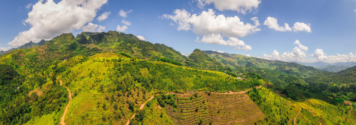 Những mầm cây xanh Sa Mộc chứa đựng bao yêu thương của thầy trò trường Marie Curie vẫn đang lớn lên khoẻ mạnh mỗi ngày, góp phần phủ xanh cho nơi địa đầu Tổ quốc Những mầm cây xanh Sa Mộc chứa đựng bao yêu thương của thầy trò trường Marie Curie vẫn đang lớn lên khoẻ mạnh mỗi ngày, góp phần phủ xanh cho nơi địa đầu Tổ quốc