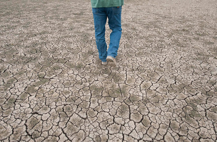 Một khu đầm lầy đã trở lên khô cằn, nứt nẻ Một khu đầm lầy đã trở lên khô cằn, nứt nẻ