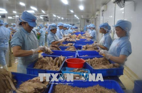 Bộ Nông nghiệp và Phát triển nông thôn sẽ trình hoặc ban hành theo thẩm quyền Nghị định quy định chi tiết một số điều của Luật Thủy sản (ảnh minh họa nguồn TTXVN). Bộ Nông nghiệp và Phát triển nông thôn sẽ trình hoặc ban hành theo thẩm quyền Nghị định quy định chi tiết một số điều của Luật Thủy sản (ảnh minh họa nguồn TTXVN).