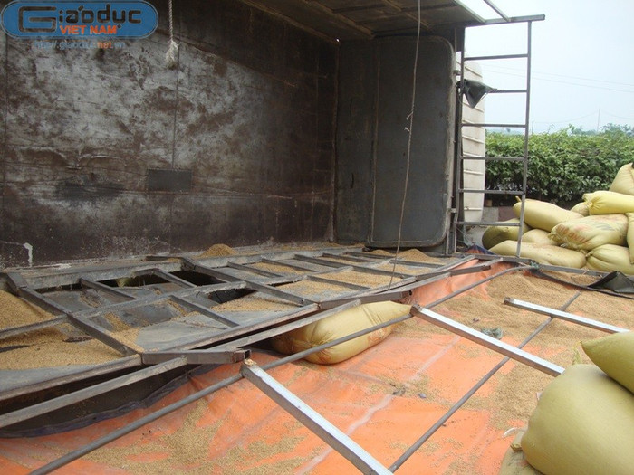 Toàn bộ số thóc đựng trên thùng xe đã văng ra ngoài.