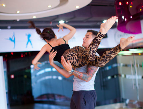 Một chiếc máy bay hay một nàng báo? Một chiếc máy bay hay một nàng báo?