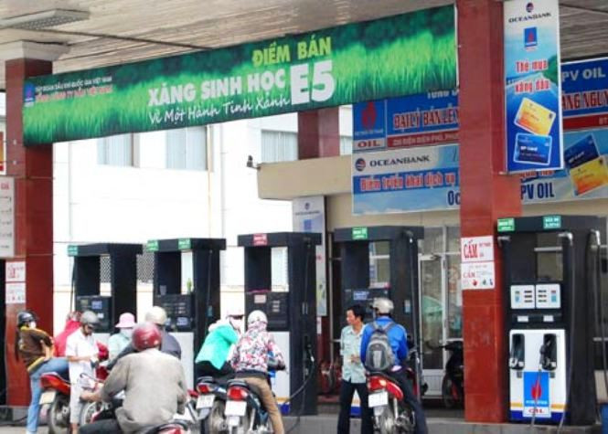 Theo các nhà khoa học, xăng sinh học không ảnh hưởng đến động cơ xăng và diezen.