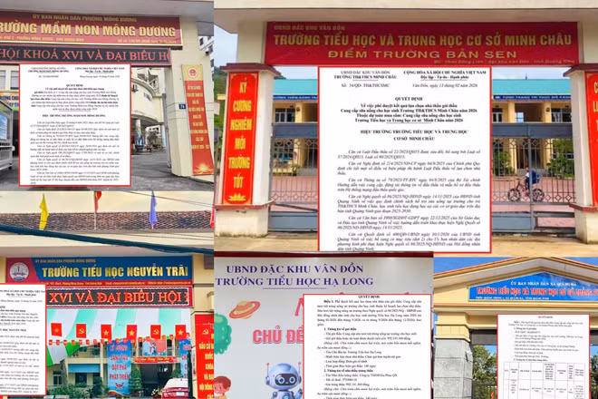 Gói thầu cung cấp sữa uống: Dù giá dự thầu cao hơn, Công ty TNHH Gia Phúc QN được chọn vì lý do nào?