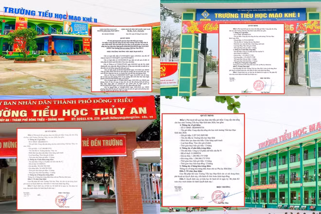 Công ty Chế biến sữa Ba Vì trúng thầu cung cấp sữa uống cho học sinh trường công nào ở Quảng Ninh?
