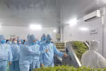 Để thu hút SV có năng lực vào học nông-lâm-thủy sản: Chính sách học phí không nên áp dụng tràn lan