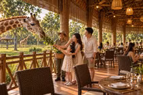 “Thám hiểm” 5 châu trong 1 ngày: Safari Cần Giờ mở ra hành trình khám phá từ bầu trời đến đại dương